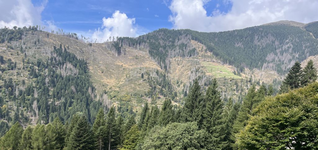 Tutte le sculture di Marco Martalar.....in Trentino